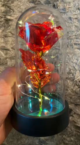 Magic Love Rose photo review