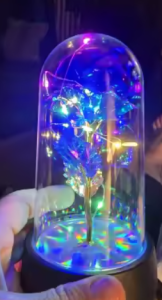 Magic Love Rose photo review